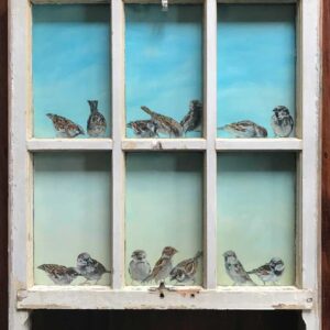 14 sparrows in 6 pane window - Andi-Merkens